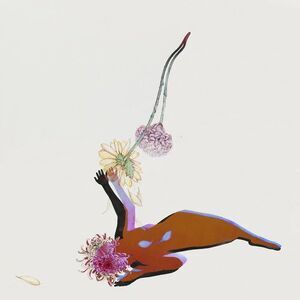 Future Islands - The Far Field    CD